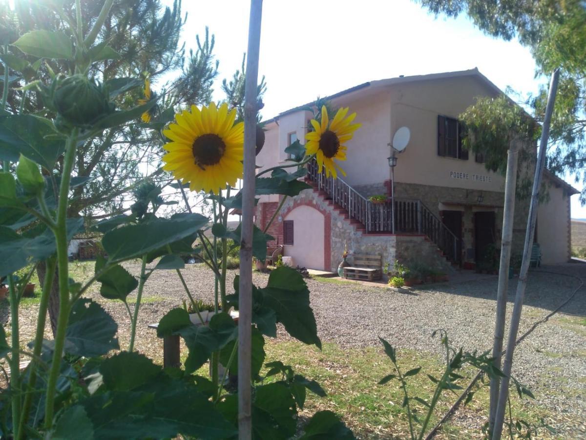 Villa Enjoy Sunset à Colle Massari Extérieur photo